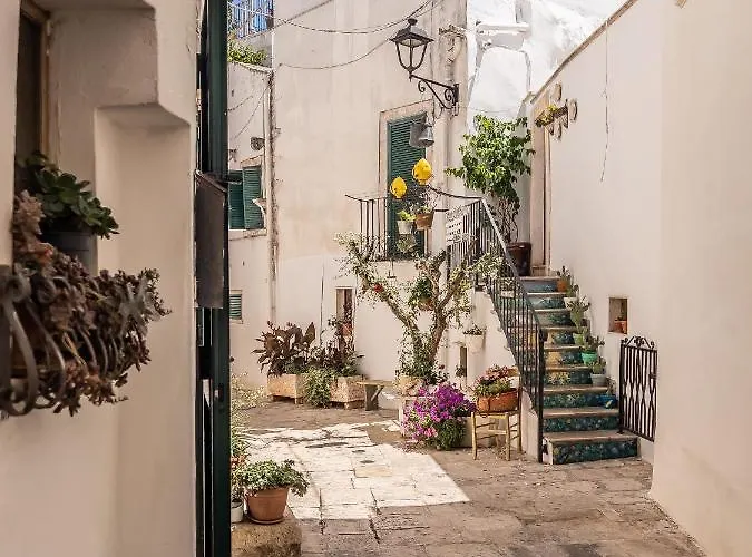 Domus San Giovanni Alojamento de Acomodação e Pequeno-almoço 4*